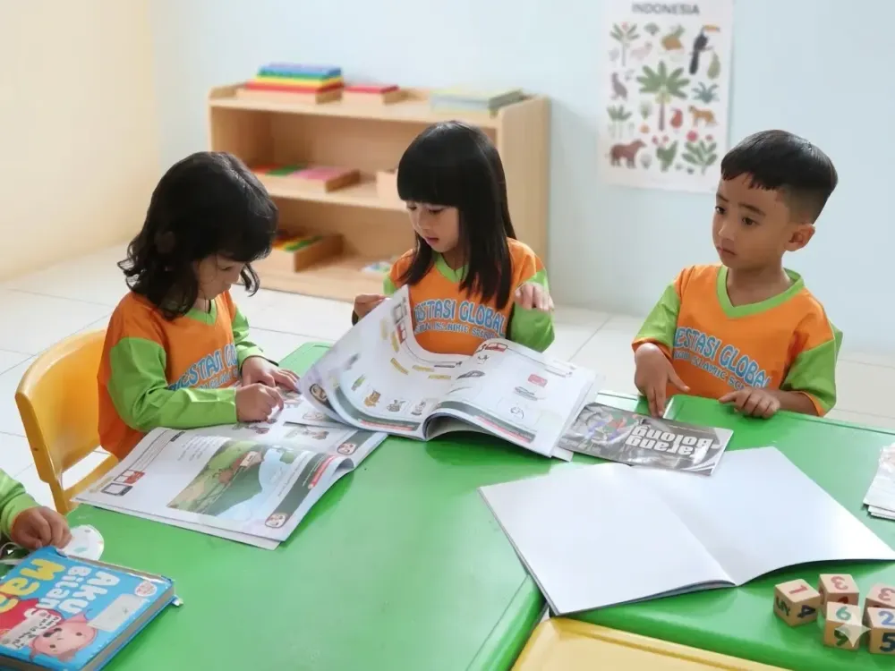 curriculum-1